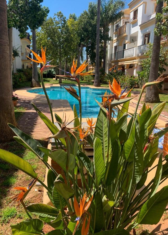 El Patio - Apartment La Lubica Denia Kültér fotó